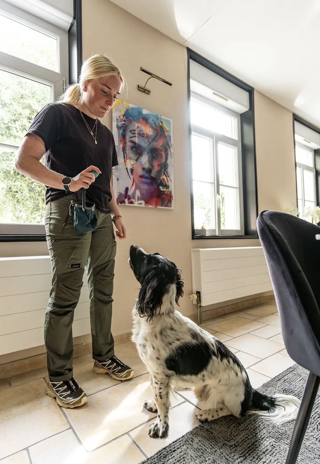 Chien formé à la détection olfactive inspectant les coussins d'un canapé à la recherche de punaises de lit